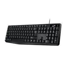 TECLADO GENIUS KB-117